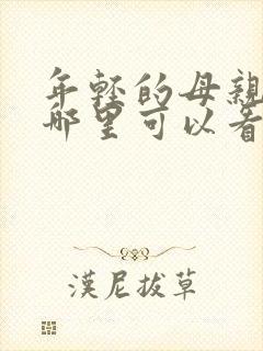 年轻的母亲3在哪里可以看封面