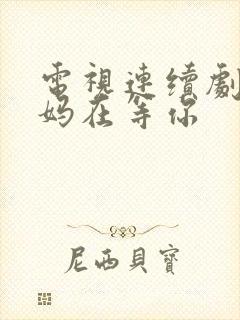 电视连续剧 妈妈在等你