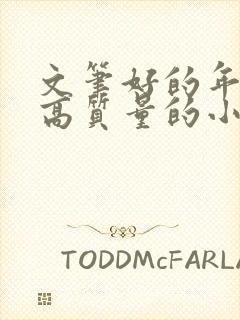 文笔好的年代文高质量的小说