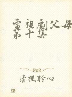 电视剧父母爱情第十集