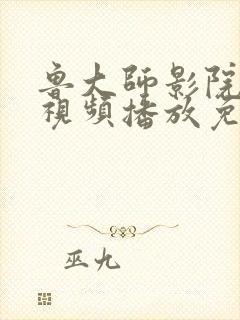 鲁大师影院在线视频播放免费播放下