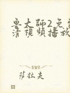 鲁大师2免费高清视频播放封面