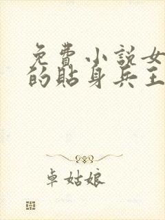 免费小说女总裁的贴身兵王