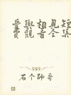 爱与相见短剧免费观看全集最新章节封面