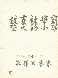 校霸被学霸罚一整天的小说免费阅读封面