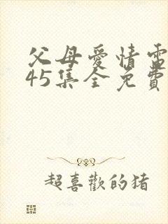 父母爱情电视剧45集全免费观看下载