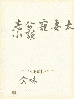 老公宠妻太甜蜜小说封面