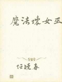 魔法坏女巫简介