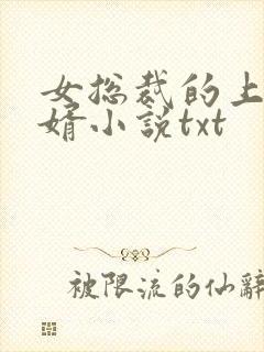 女总裁的上门龙婿小说txt