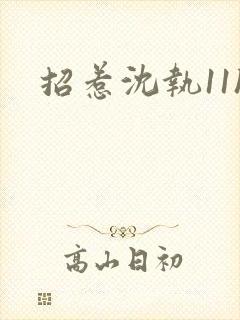 招惹沈执11h封面