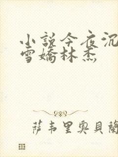 小说今夜沉醉段雪娇林杰