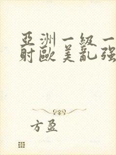 亚洲一级一片内射欧美乱强