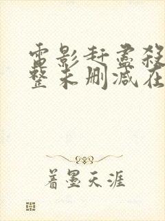 电影赶尽杀绝完整未删减在线观看