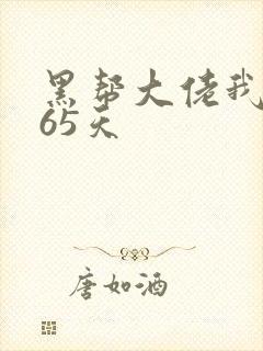 黑帮大佬我的365天