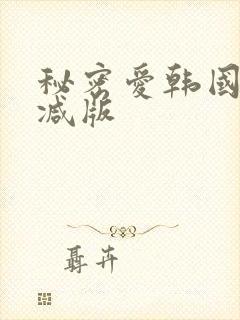 秘密爱韩国未删减版封面