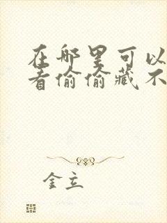 在哪里可以免费看偷偷藏不住