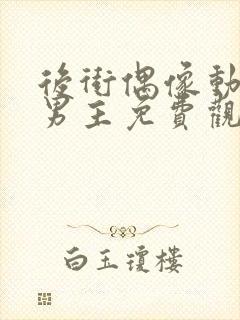 后街偶像动漫双男主免费观看动漫