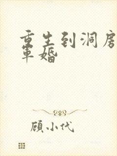 重生到洞房夜的军婚封面