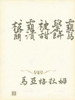 校霸被学霸玩到崩溃甜饼写手