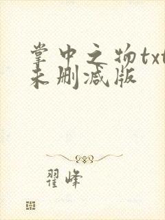 掌中之物txt未删减版封面