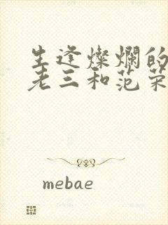 生逢灿烂的日子老三和范荣结局封面