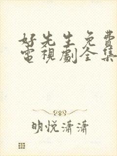 好先生免费观看电视剧全集封面