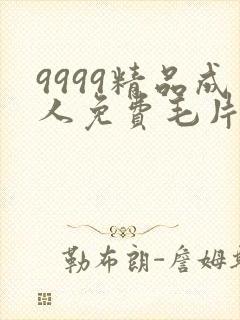 9999精品成人免费毛片在线看
