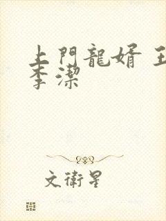 上门龙婿 王浩李洁