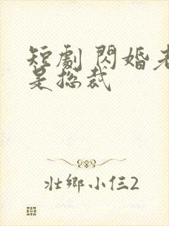 短剧 闪婚老公是总裁