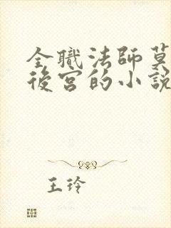 全职法师莫凡收后宫的小说