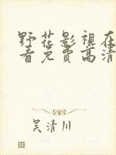 野花影视在线观看免费高清完整中文