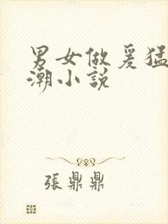 男女做爰猛烈高潮小说