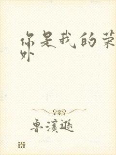 你是我的荣耀番外