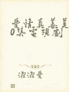 爱情真善美全40集电视剧