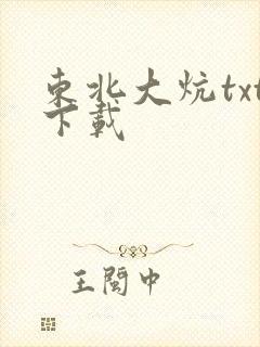 东北大炕txt下载