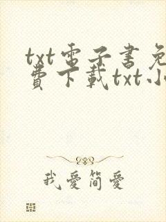 txt电子书免费下载txt小说下载封面