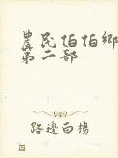 农民伯伯乡下妹第二部封面