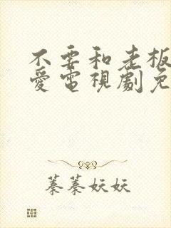 不要和老板谈恋爱电视剧免费观看封面