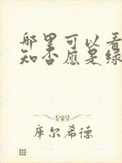 哪里可以看知否知否应是绿肥红瘦