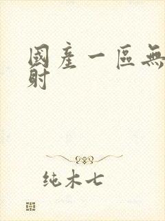 国产一区无套内射