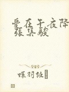 爱在午夜降临前 张集骏封面