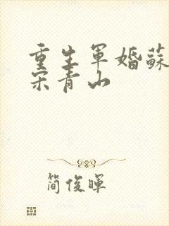 重生军婚苏向晚宋青山封面