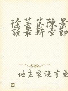 徐莘苒陈景之小说最新章节内容