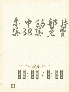 梦中的那片海全集38集免费封面