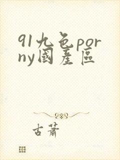 91九色porny国产区
