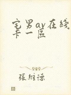 宅男av在线不卡一区