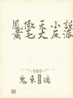 凤傲天小说里的黄毛大反派也想要幸福