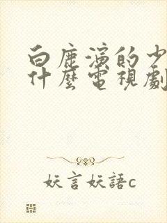 白鹿演的少春是什么电视剧