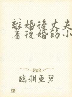 离婚后丈夫哭求着复婚的小说封面