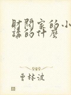 财阀家的小儿子讲的什么封面